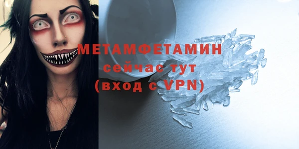 индика Апатиты
