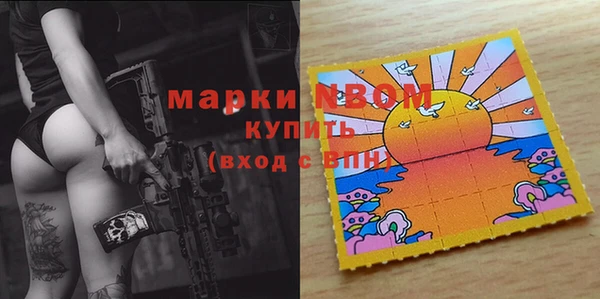 прущие грибы Анжеро-Судженск