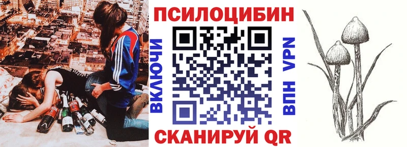 Галлюциногенные грибы Psilocybe  дарнет шоп  Урус-Мартан 